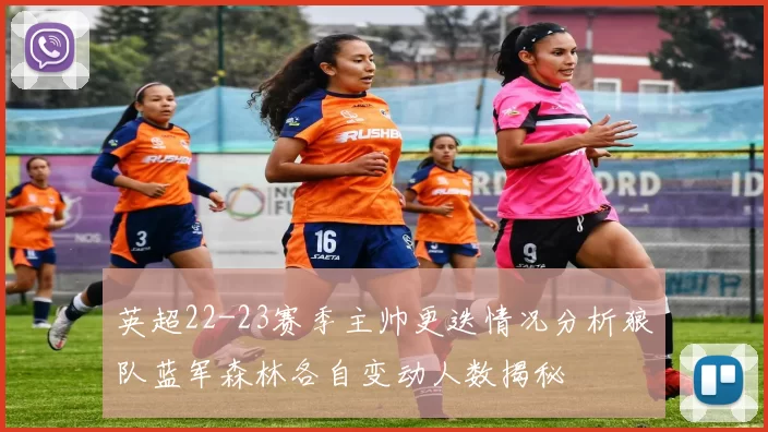 英超22-23赛季主帅更迭情况分析狼队蓝军森林各自变动人数揭秘