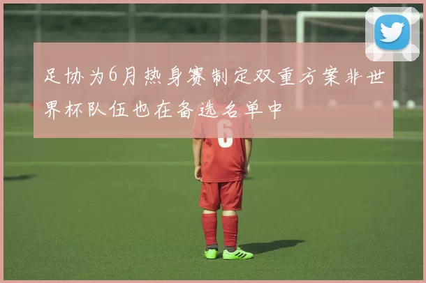 足协为6月热身赛制定双重方案非世界杯队伍也在备选名单中